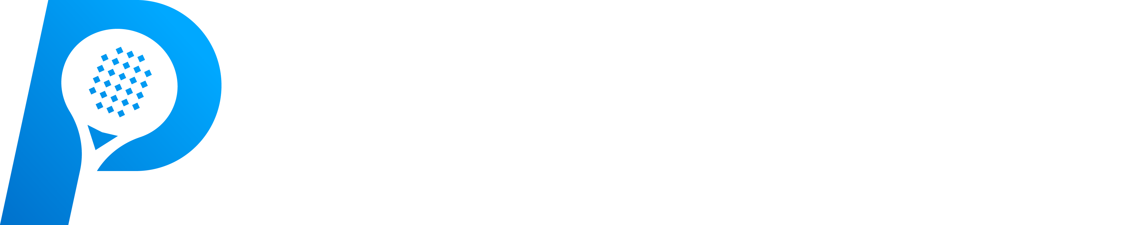 Padelize